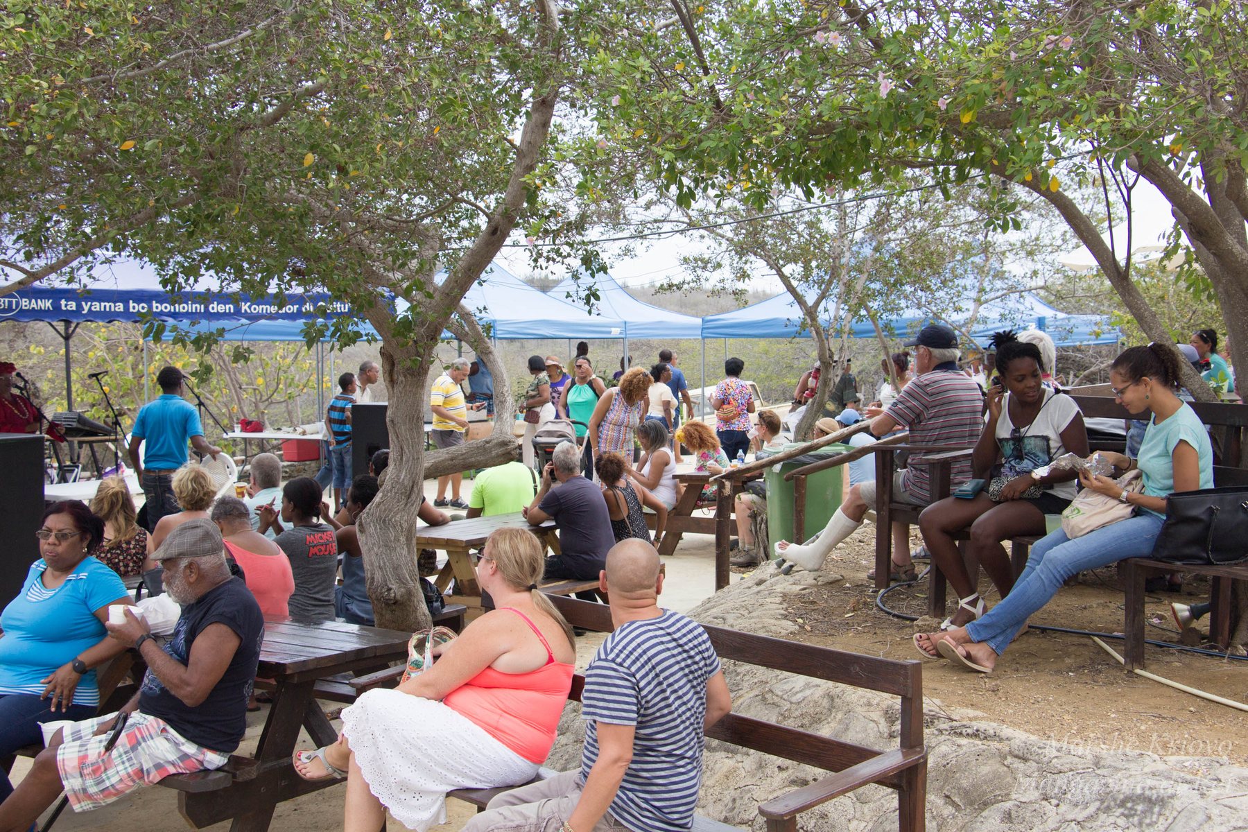 Encuentro bou di palu